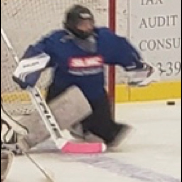 Meet your Posher, Harley - Picture 1 of 1